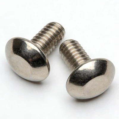 Large Head Stainless Steel Screws best